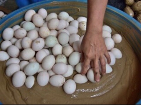 ดินฝุ่นทำไข่เค็มเลี้ยงหอยแคลง